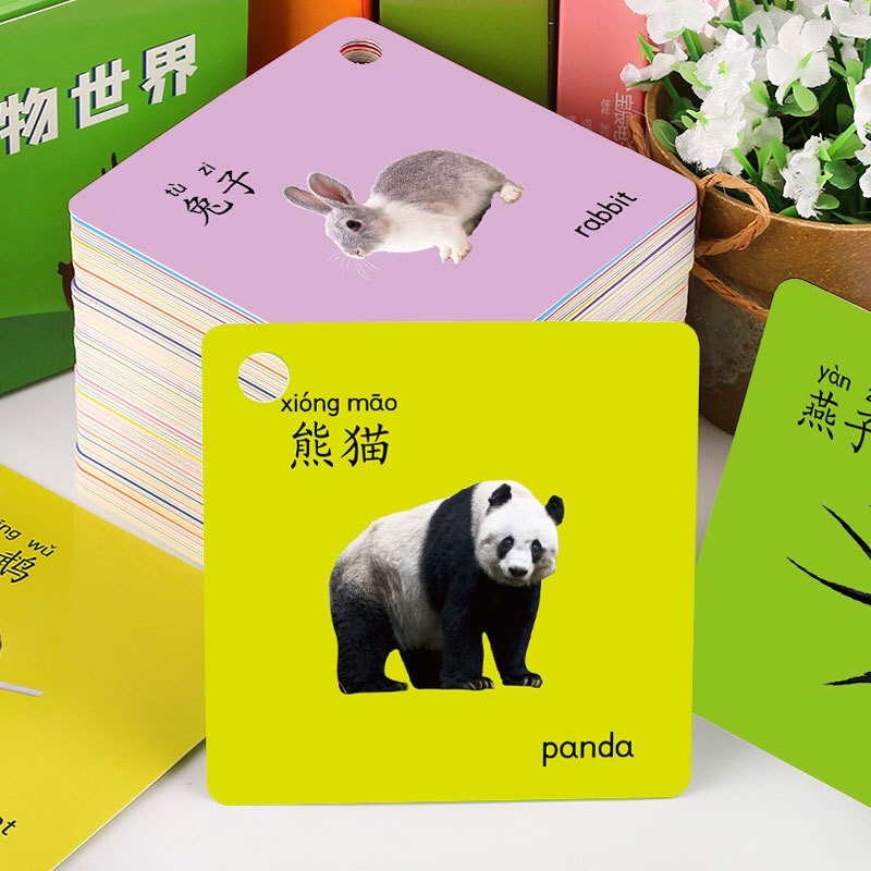 Thẻ Tiếng Trung Theo Chủ Đề Flash Card Có Vòng Động Vật Rau Củ Quả Xe Cộ Người Vật