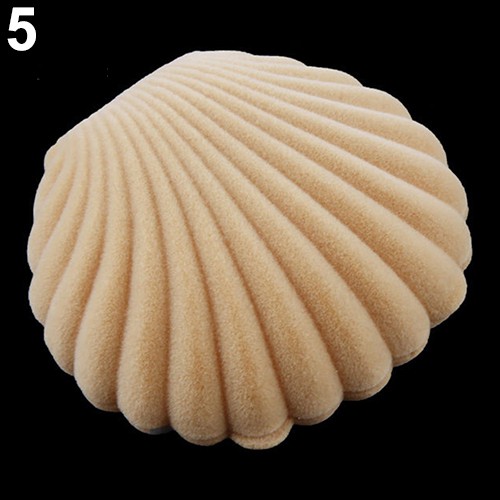 Hộp Đựng Trang Sức Hình Vỏ Sò Biển Dễ Thương