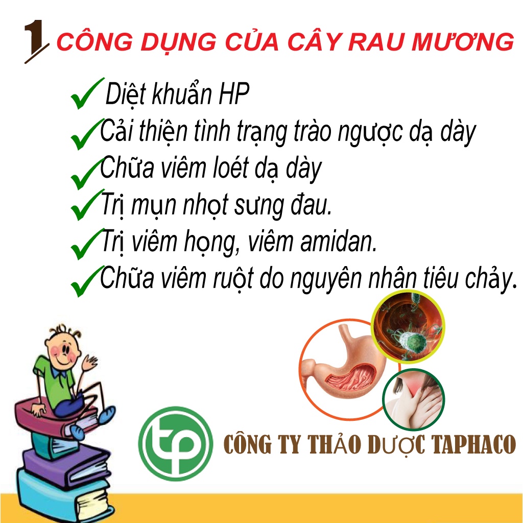 Cây Rau Mương Khô 500g - Hỗ trợ bệnh dạ dày, Diệt khuẩn HP, Giảm trào ngược, Làm lành các vết loét