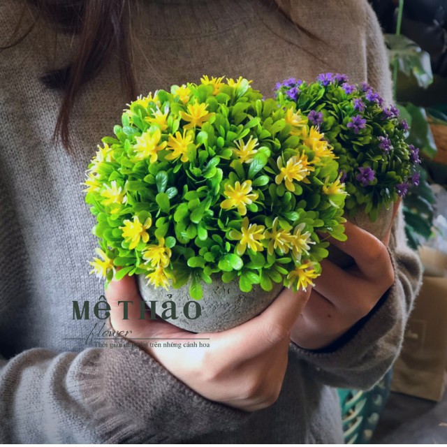 (Ảnh thật chụp tại shop) Chậu Hoa Giả Chất Liệu Xi măng Trang Trí Nhà Cửa Của Mê Thảo Flower