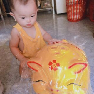Heo mắt híp tiết kiệm - size Đại