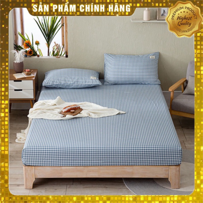 Set 3 món Bộ ga giường vỏ gối cotton tici họa tiết kẻ sọc chấm bi | BigBuy360 - bigbuy360.vn