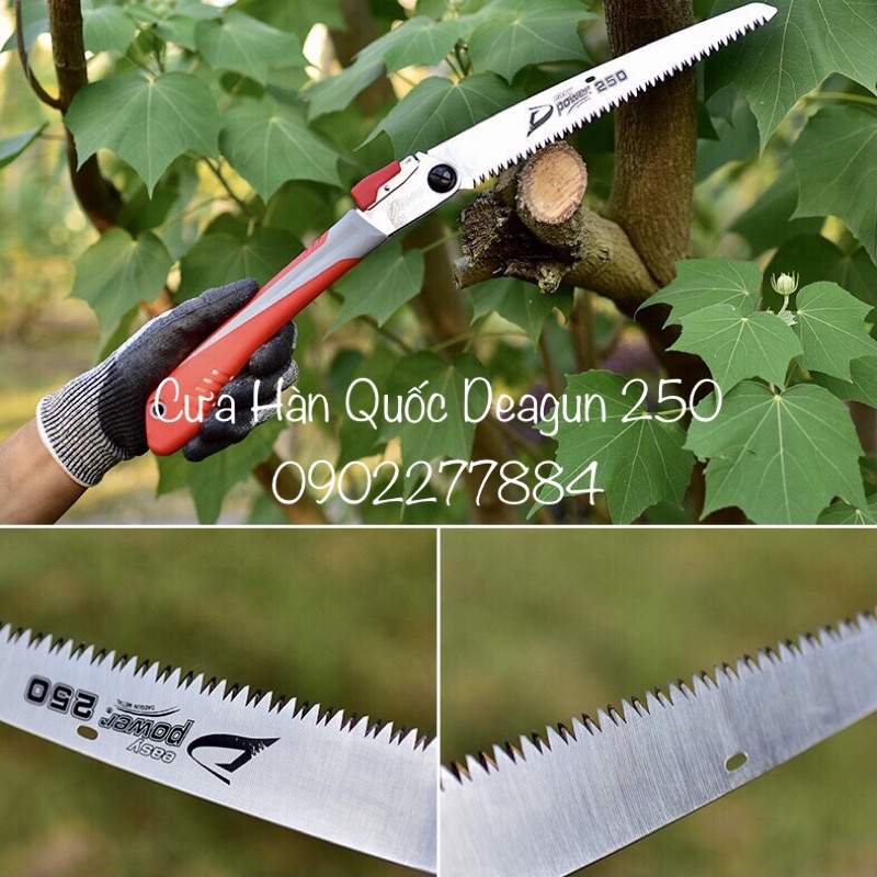 Cưa Cành, Cưa Hàn Quốc DAEGUN, cán xếp 210-250mm, gấp gọn thép cao cấp Made in Korea