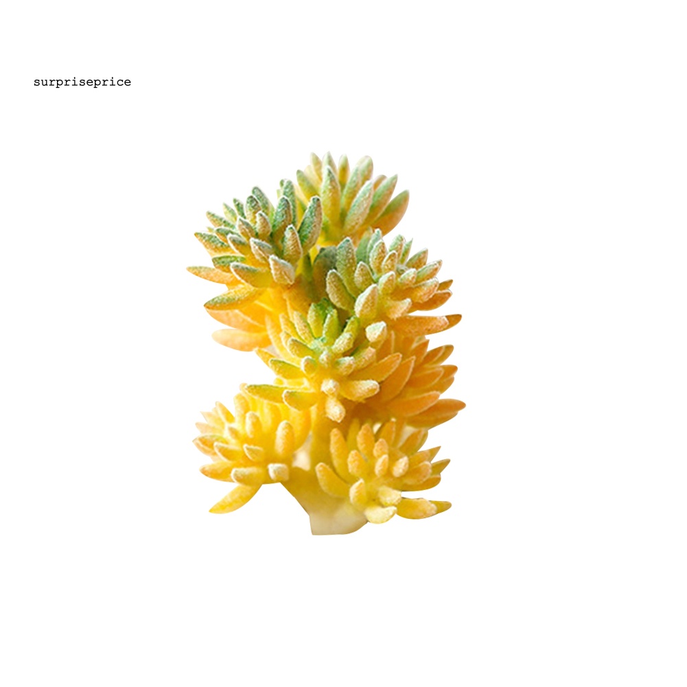 1 Cây Mọng Nước Nhân Tạo Dùng Cho Trang Trí