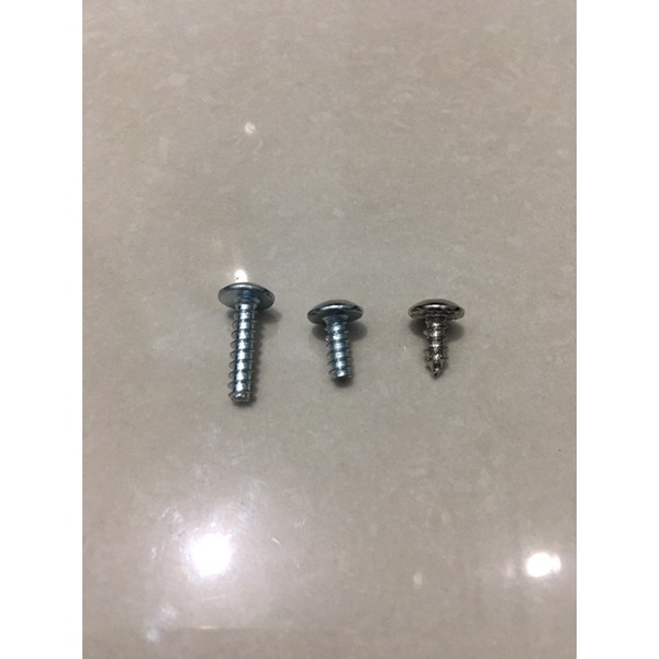 Vít bắt đầu lạnh và đuôi nóng