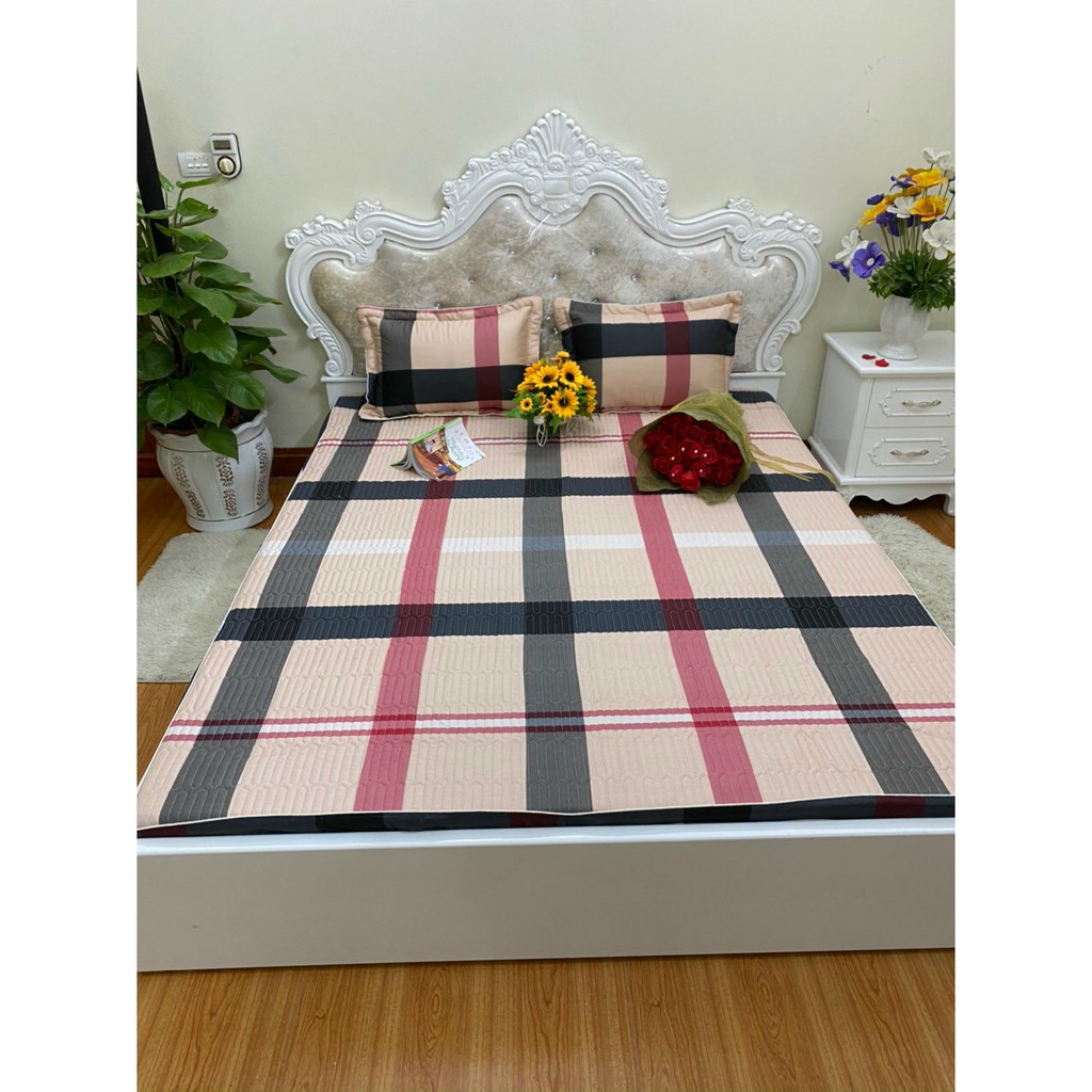 Set Bộ Ga Vỏ Gối Cotton Hàn - Chất cotton lạnh 100% Không lo bai xù [ 1 Ga + 2 vỏ gối nằm có trần bông]