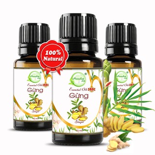 Bộ 3 chai tinh dầu gừng nguyên chất 10ml