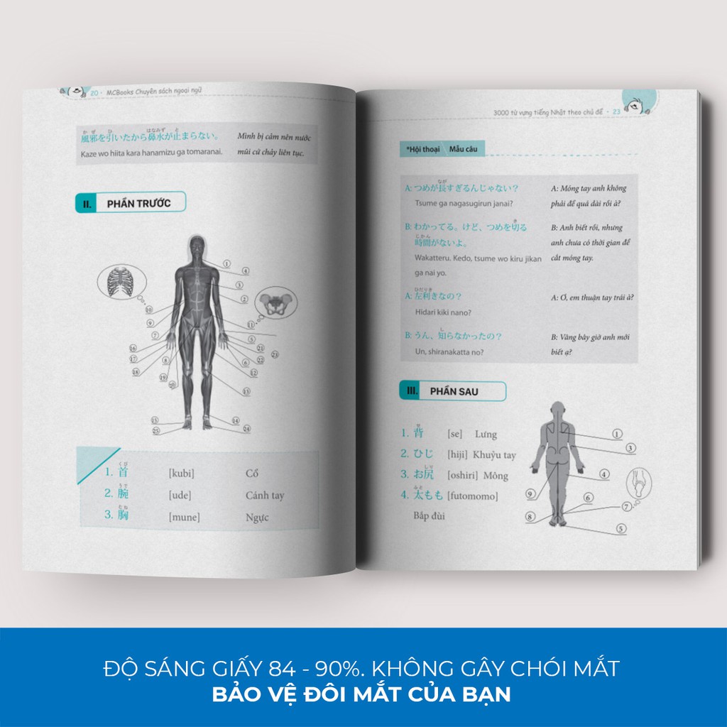 Sách 3000 Từ Vựng Tiếng Nhật Theo Chủ Đề MCTN8880