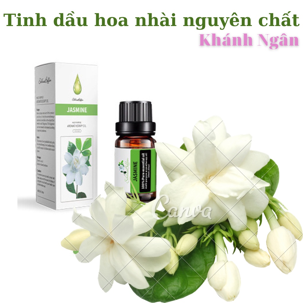 Máy Phun Sương Tinh Dầu TẤM THỊ Humidifier H2O 300ml Khuếch Tán Hơi Nước Tạo Ẩm Làm Thơm Mát Phòng Ngủ & Đuổi Muỗi