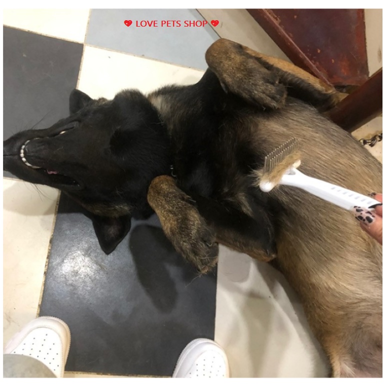 LƯỢC CHẢI LÔNG CHO CHÓ MÈO LÔNG DÀI HÌNH BỒ CÀO - LOVE PETS SHOP