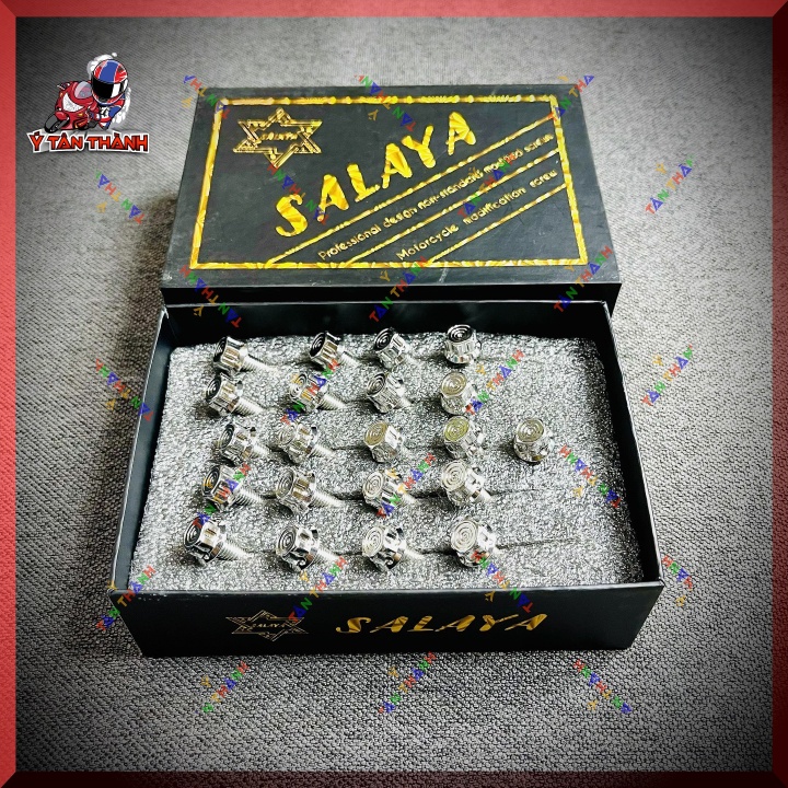 Bộ Ốc Lốc Máy Salaya V2 cho exciter 150,155vva MS13