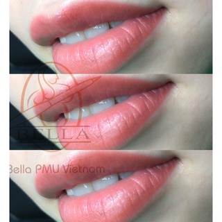 Bộ sản phẩm mực môi Bella