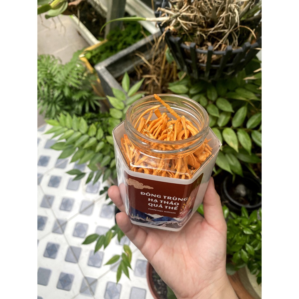 Set quà biếu sang trọng vì sức khỏe | BigBuy360 - bigbuy360.vn