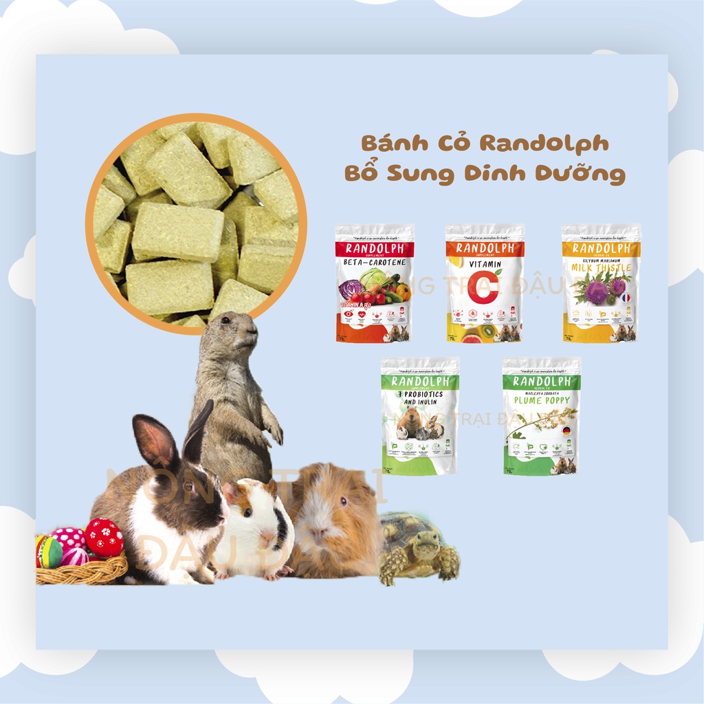 Bánh Cỏ Randolph Bổ Sung Dinh Dưỡng, Hỗ Trợ Sức Khỏe Cho Thỏ, Bọ Ú, Chinchilla, Sóc Bắc Mỹ