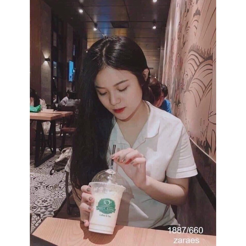 Áo polo cộc tay cổ bẻ nữ, áo thun cotton ngắn