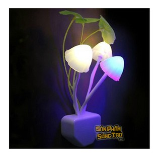 Đèn ngủ cảm ứng hình nấm