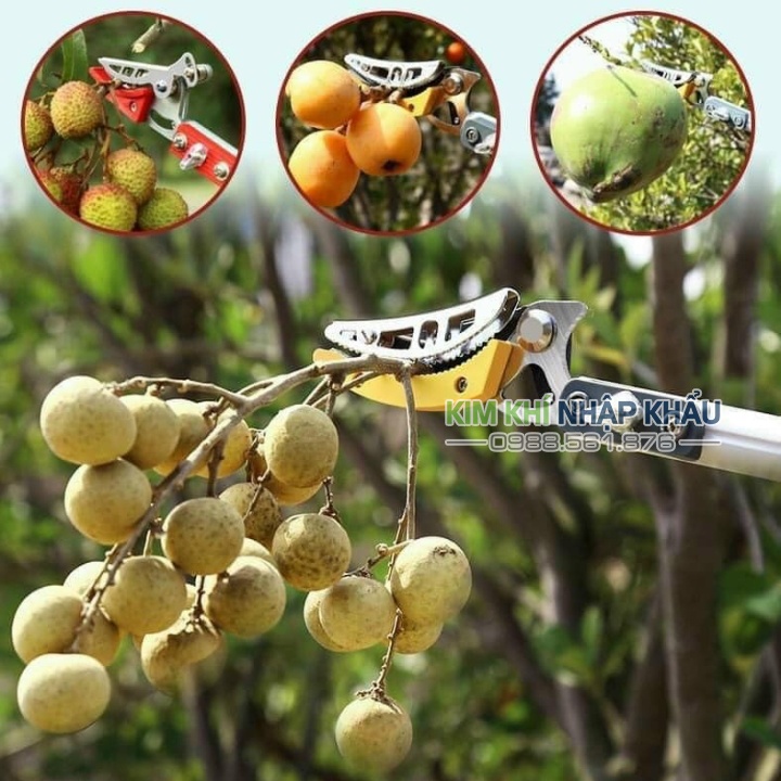 Kéo cắt cành trên cao 5m 3 đoạn Nhật Bản - K62