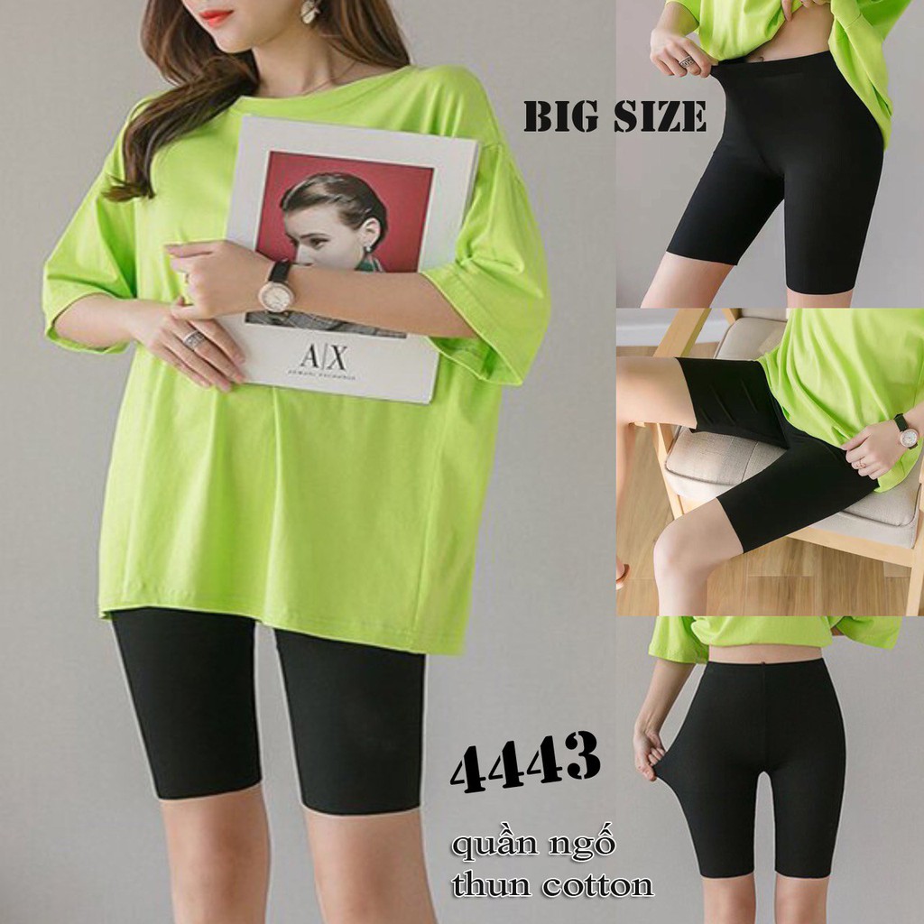 [ 3c 200k ] 4443 Quần ngố BIG SIZE trơn thun cotton co giãn