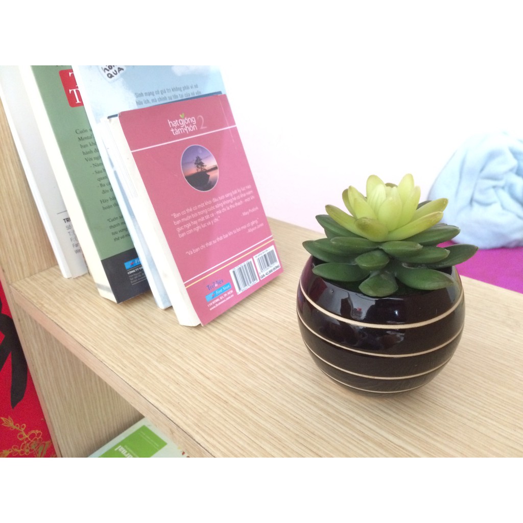Chậu sứ nhỏ trồng cây xương rồng hoặc cắm cây hoa giả mini trang trí nhà cửa