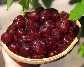 Mứt táo thái.