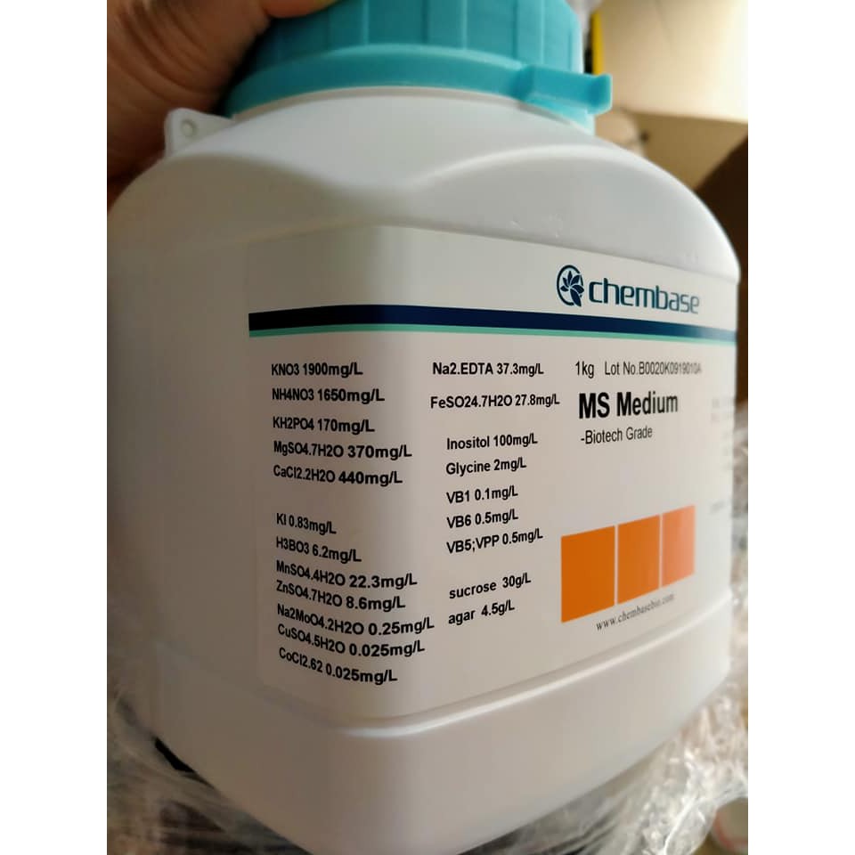 Môi trường nuôi cấy mô pha sẵn MS- Murashige and Skoog Medium - 1kg
