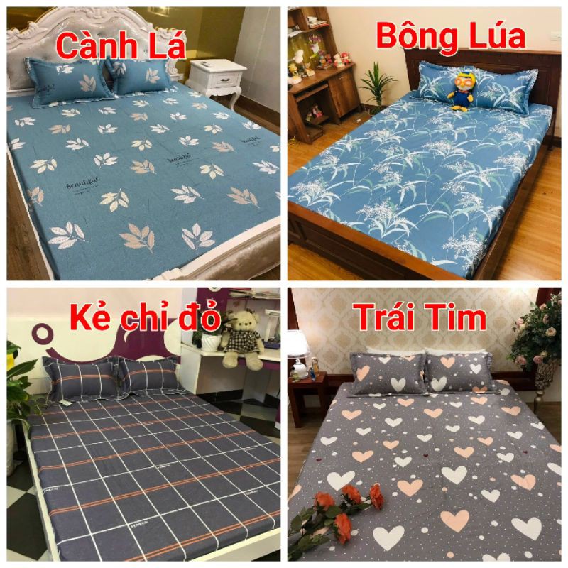 Vỏ Gối Ôm Cotton 100% Cao Cấp. Vỏ Ôm Khóa Kéo Kích Thước Tiêu Chuẩn 30x100