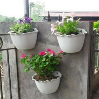 (RẺ VÔ ĐỊCH) Chậu ốp tường viền tim dài 25cm x14cm x15cm