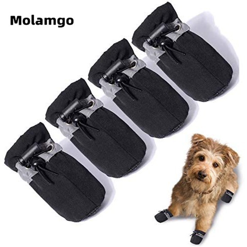 Set 4 ủng đi mưa kháng nước dễ thương cho thú cưng giày cho thú cưng giày cho cún