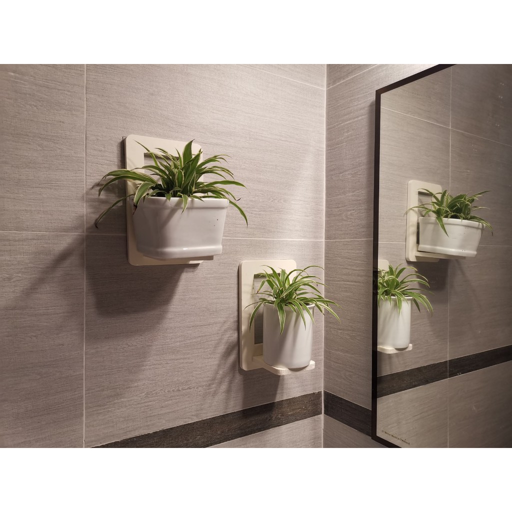 Kệ dán tường hình tròn decor nhà cửa treo ở phòng khách, phòng tắm, phòng ngủ…để đựng đồ trang trí - hình trăng sao