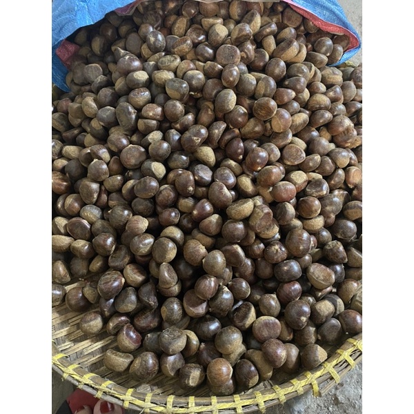 Hạt dẻ không khứa vỏ