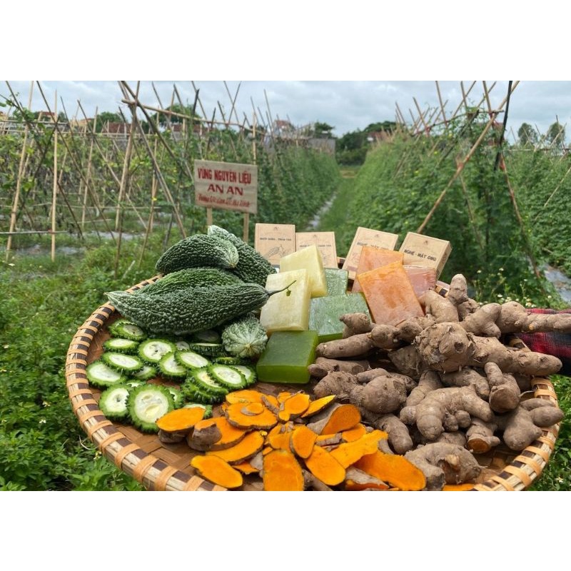 Xà bông mướp đắng - Tràm trà hữu cơ, thảo mộc An An