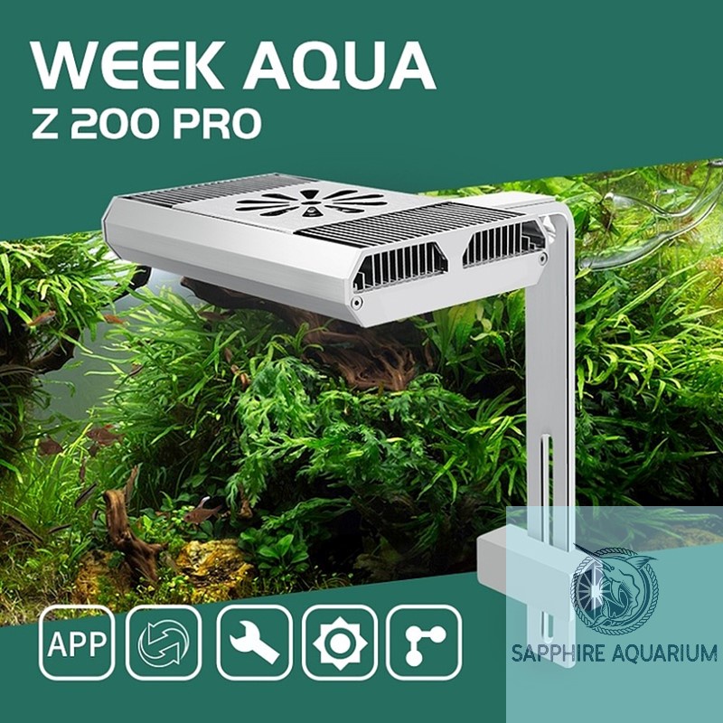 Đèn Bể Cá Week Z Series Z200 Z400 Pro