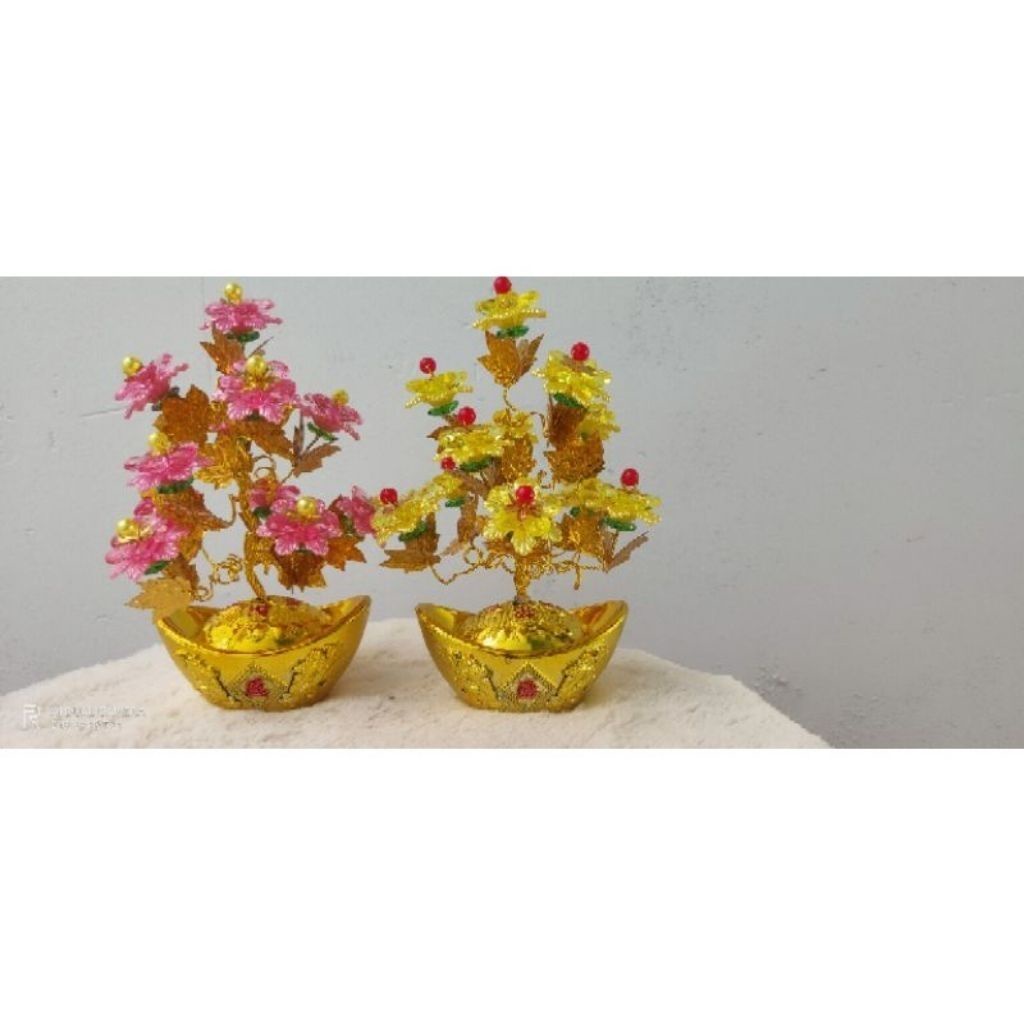Hoa kim tiền mini