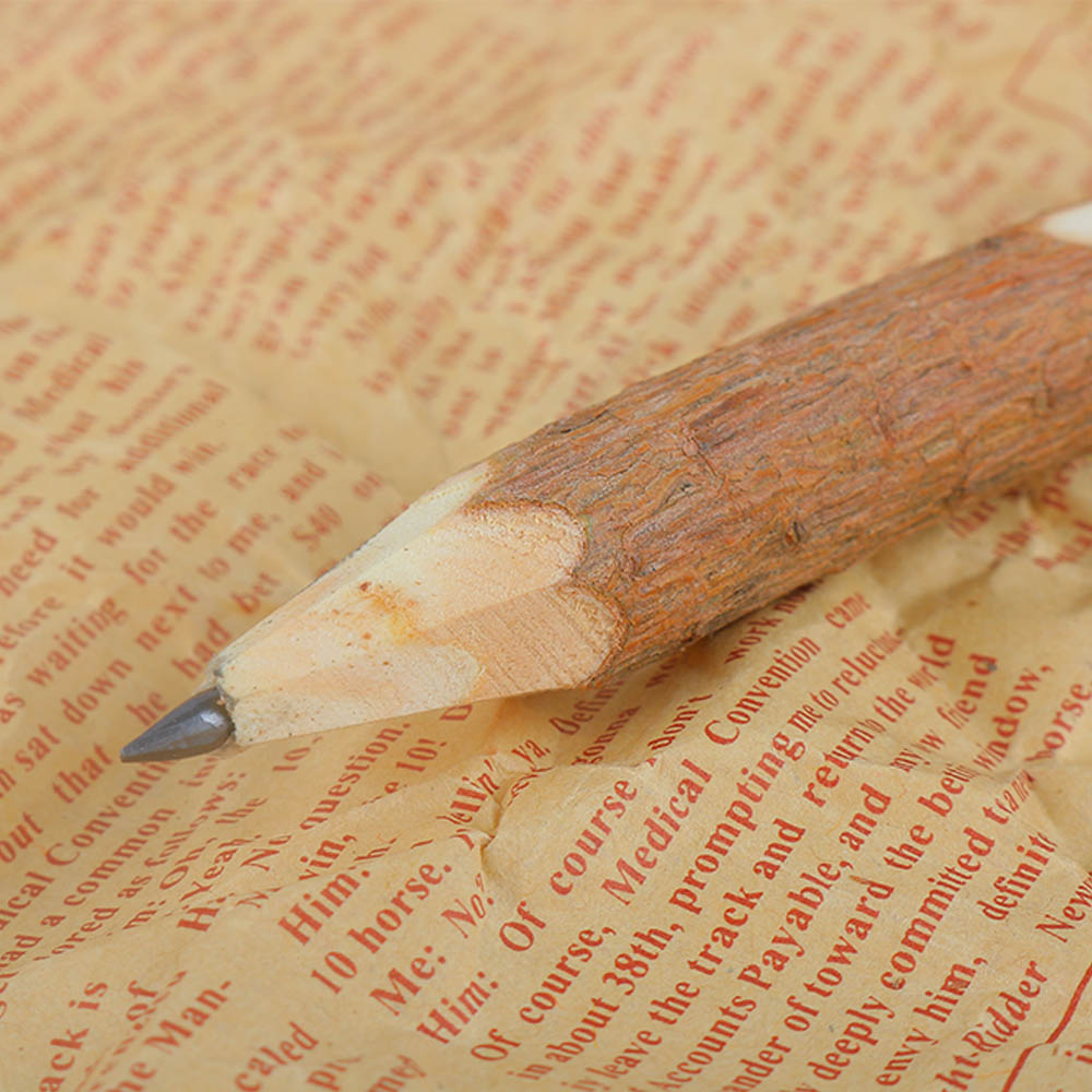 Set 10 Cây Bút Chì Bằng Gỗ Thiết Kế Hình Cành Cây Độc Đáo