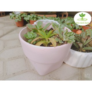 Chậu gốm hình túi giấy Bát Tràng