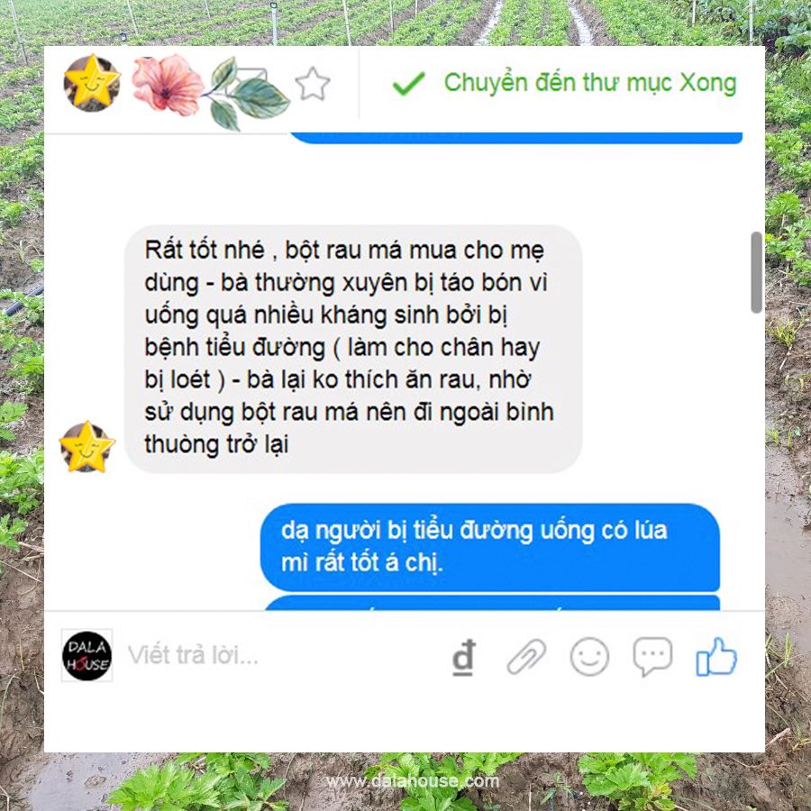 Bột Rau Má Nguyên Chất Dalahouse Hộp 60g Sấy Lạnh - Thanh nhiệt, giải độc, mát gan, đánh bay mun, mờ thâm hiệu quả