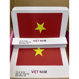 Montessori Flashcard: Văn hoá các châu lục