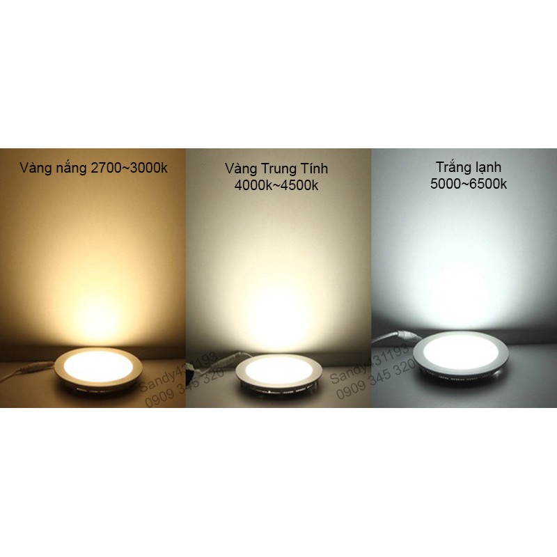 Đèn Rọi Ray COB 12W - 20W Đèn Led Ray TRang Trí Shop