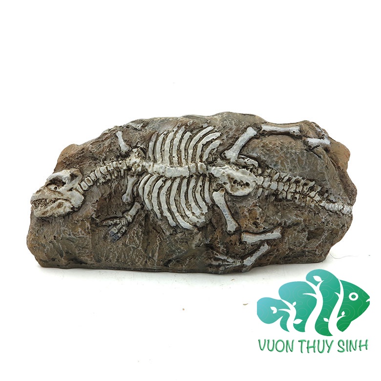 Mô hình bộ hoá thạch thời tiền sử trang trí bể cá, bể thuỷ sinh