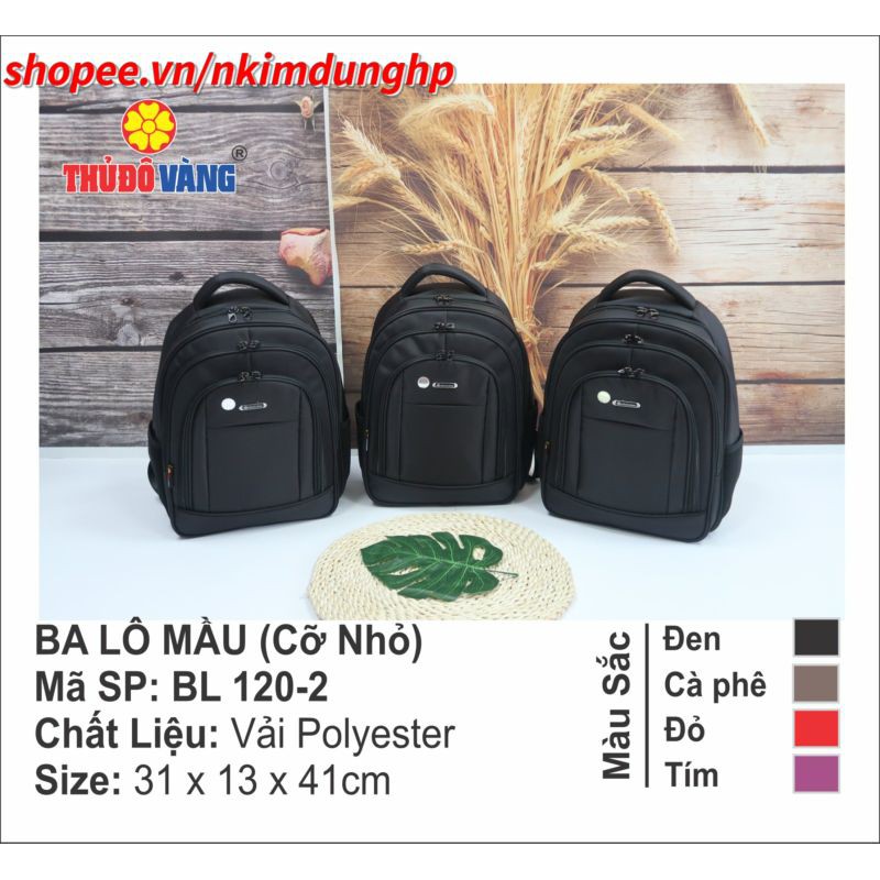 Ba lô đựng laptop (cỡ nhỏ), Thủ Đô Vàng, Mã SP : 227,226,250 | BigBuy360 - bigbuy360.vn