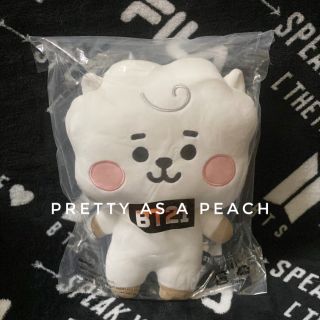 BT21 BABY RJ MINI BODY DOLL