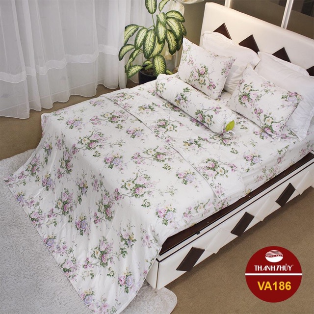 Mền + Bộ Drap hộp ( gối 1 lớp )- size M6,M8 - M186