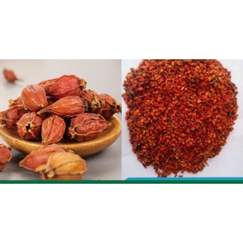 Chi Tử  Dạng bột và hạt 500g - Hàng chuẩn chất lượng loại 1