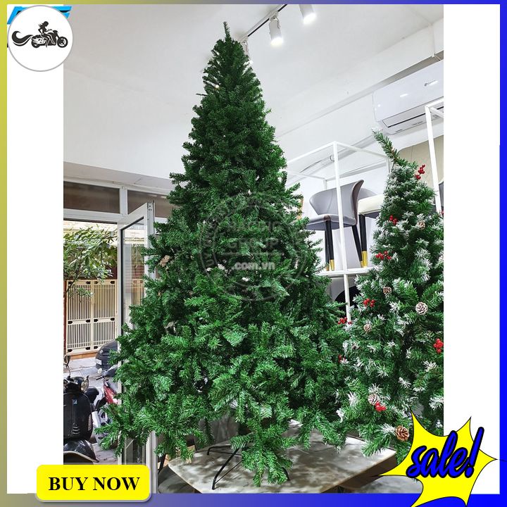 Cây thông noel size lớn 3m, 3m6, 4m5 đầu tròn tán dày rậm chân sắt tặng kèm nhiều dây kim tuyến và ngôi sao đỉnh