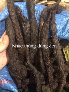 100g Nhục Thung Dung ( Khô )