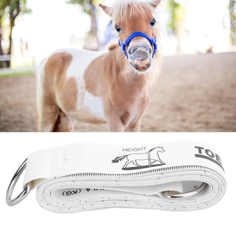 Thước Dây Đo Chiều Cao Và Trọng Lượng Ngựa 2.5 Cho M / 98