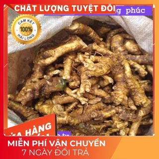[Dược Liệu Quý] Rễ Đinh Lăng Tươi, Thanh Hóa (Loại Rễ Rời 1kg)