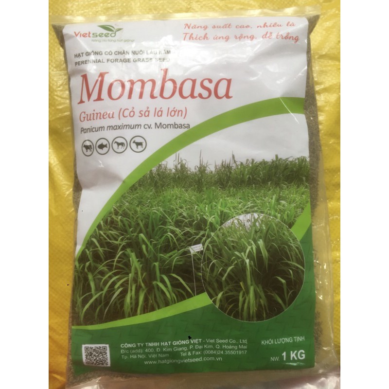 Hạt giống cỏ mombasa( cỏ sả lá lớn)- gói 1 kg