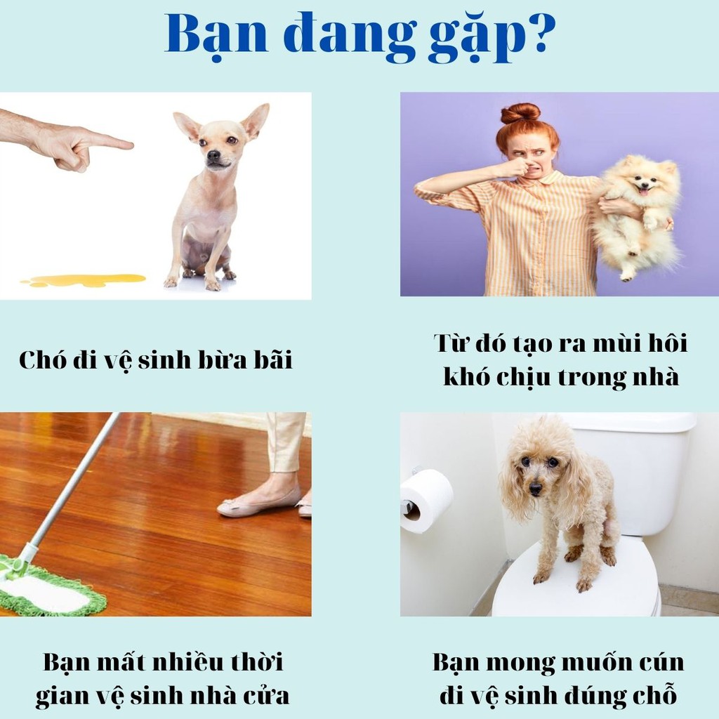 Chai Xịt Hướng Dẫn Đi Vệ Sinh Đúng Chỗ Puppy Trainer Cho Chó Mèo