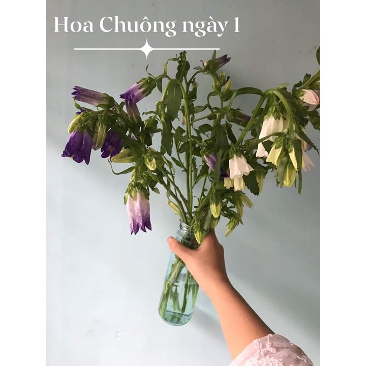 NƯỚC DƯỠNG HOA HUMIK CAN 5L pha hơn 500 lít nước